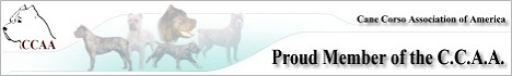 Cane Corso Association of America